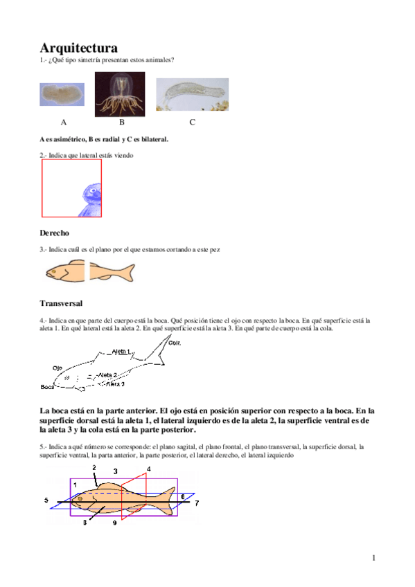 Miniatura del documento Arquitectura.pdf