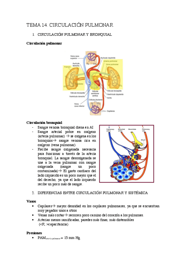 Miniatura del documento TEMA-14.pdf