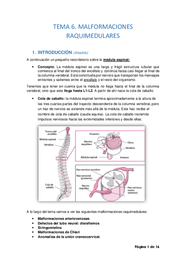 Miniatura del documento TEMA-6.pdf