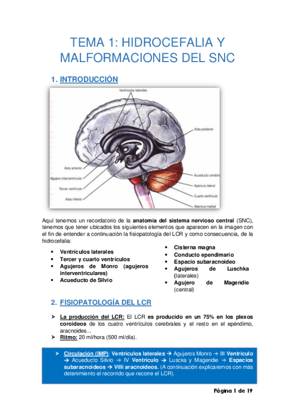 Miniatura del documento TEMA-1.pdf