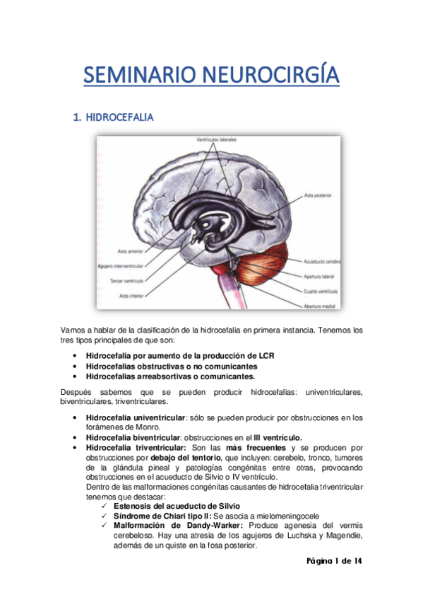 Miniatura del documento SEMINARIO-NEUROCIRUGIA.pdf