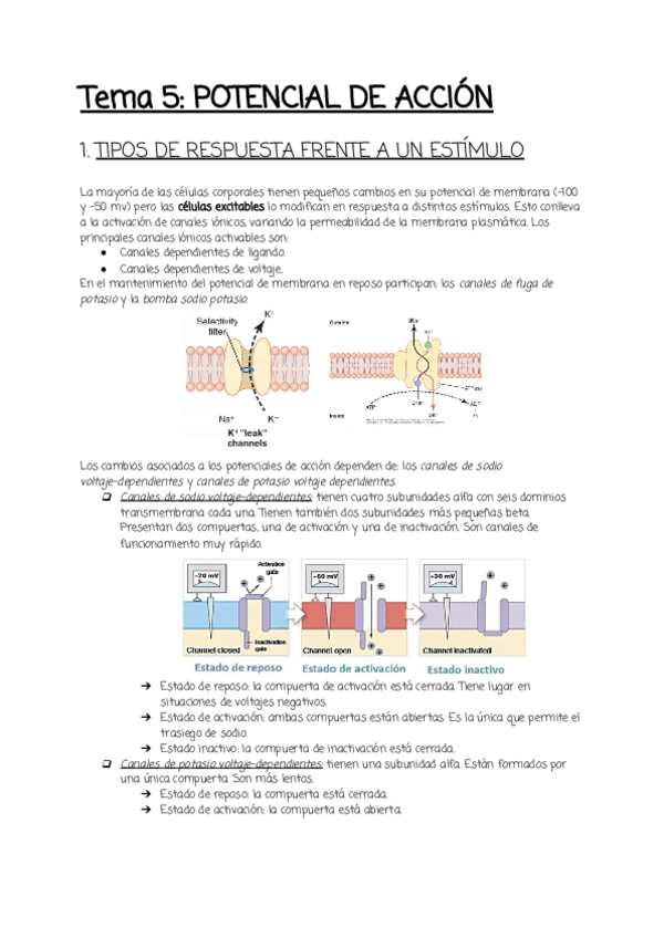 Miniatura del documento Tema-5.pdf