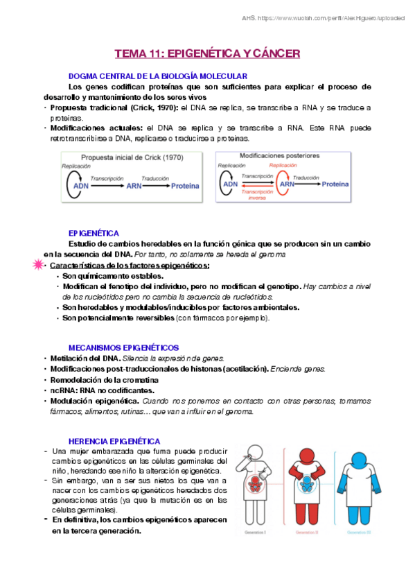 Miniatura del documento T11.pdf
