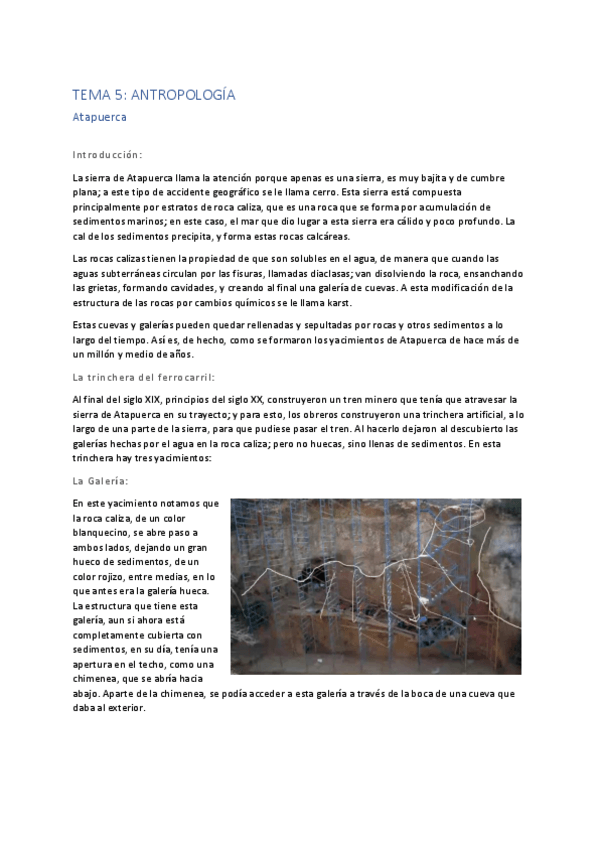 Miniatura del documento Tema-5.pdf