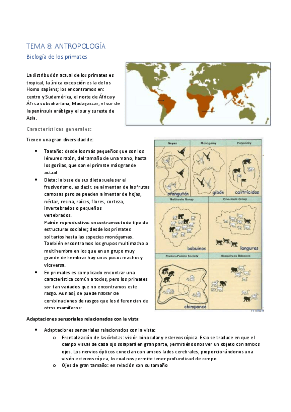 Miniatura del documento Tema-8.pdf