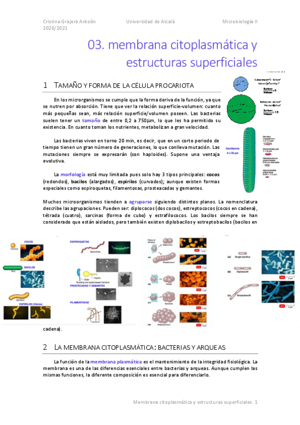 Miniatura del documento MICRO-03-Membrana-citoplasmatica-y-estructuras-superficiales.pdf