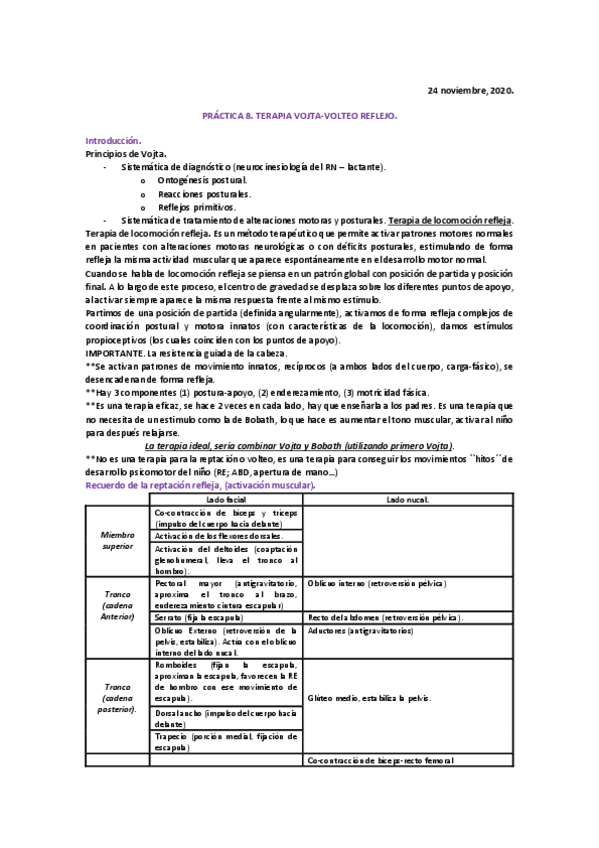 Miniatura del documento Practica-volteo-reflejo.pdf