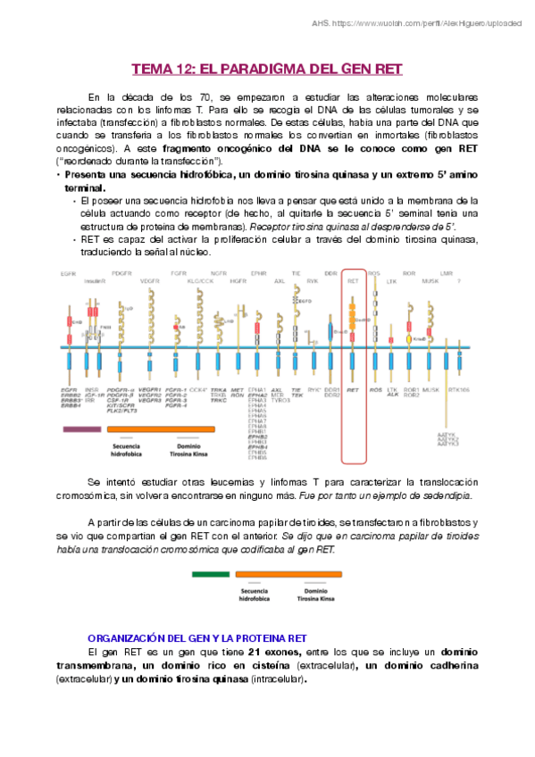 Miniatura del documento T12.pdf