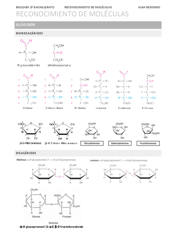 Miniatura del documento RECONOCIMIENTO-DE-MOLECULAS.pdf