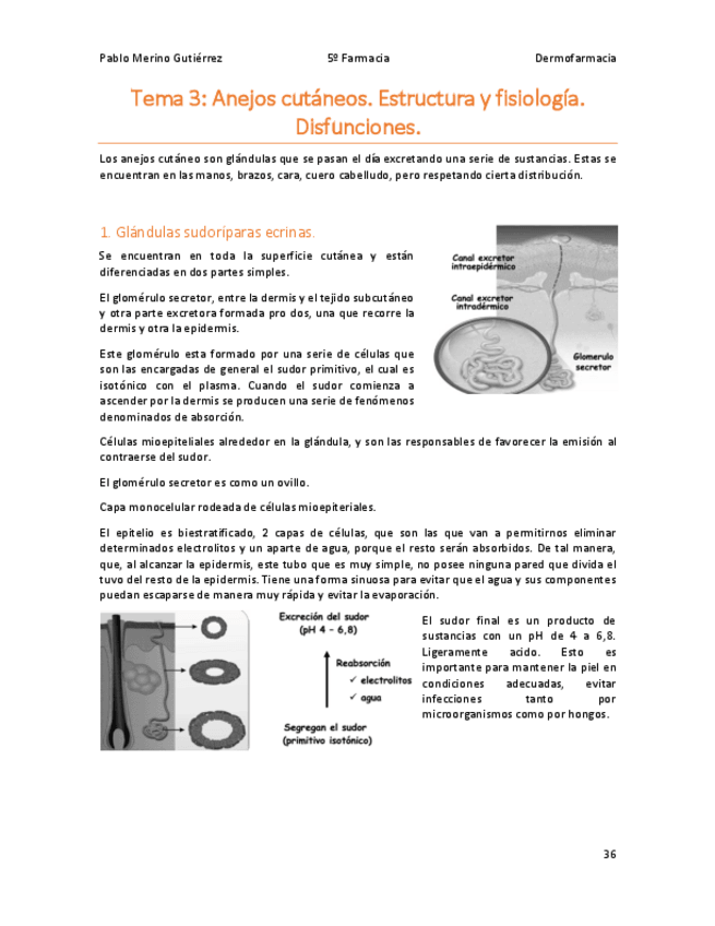 Miniatura del documento Tema-3.pdf
