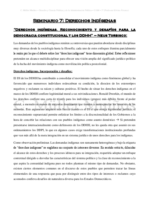 Miniatura del documento Seminario-7-Derechos-Indigenas.pdf