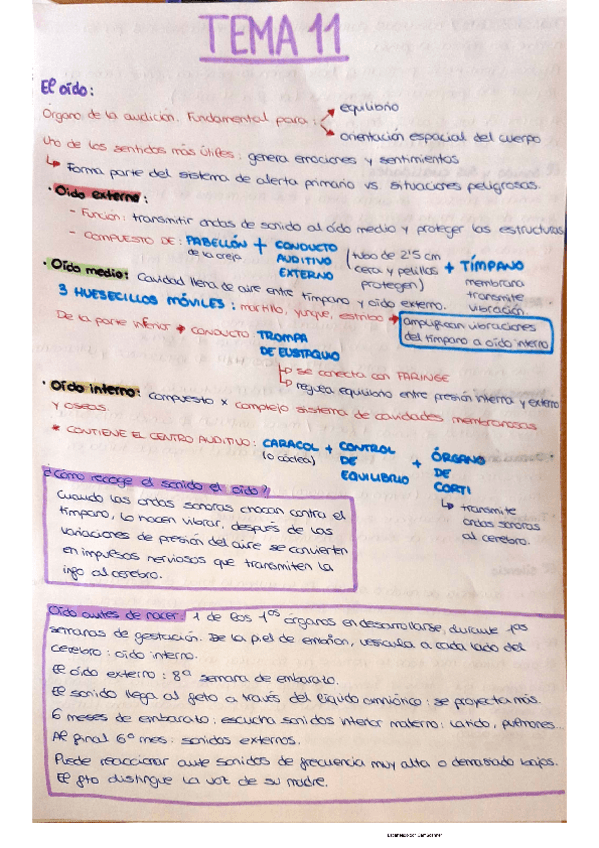 Miniatura del documento RESUMEN-TEMA-11.pdf