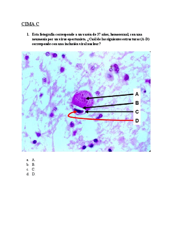 Miniatura del documento CIMA-C-El-organismo-reacciona.pdf