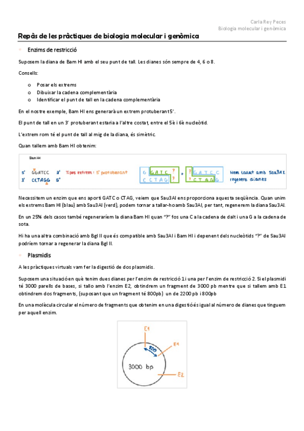 Miniatura del documento Repas-de-les-practiques-de-biologia-molecular-i-genomica.pdf