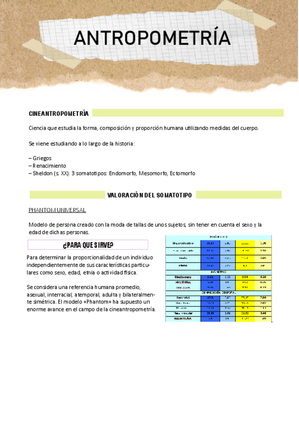 Miniatura del documento ANTROPOMETRIA.pdf