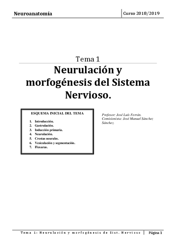 Miniatura del documento TEMA-1.pdf