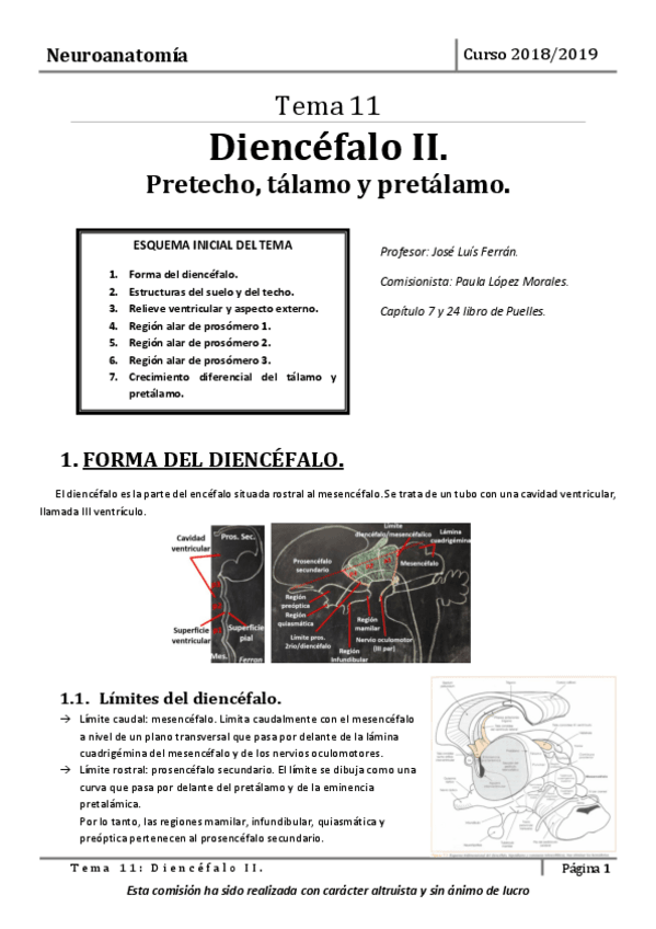 Miniatura del documento Tema-11.pdf