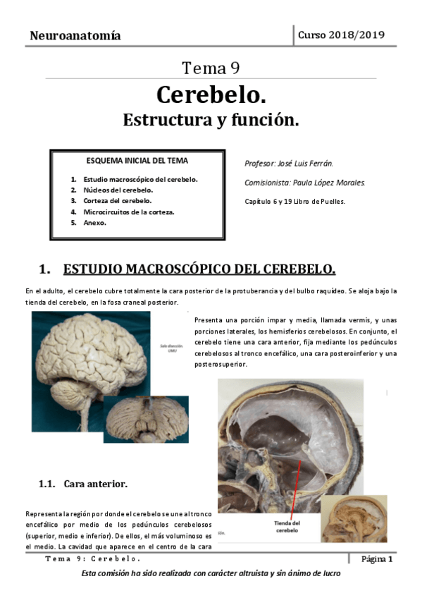 Miniatura del documento Tema-9.pdf