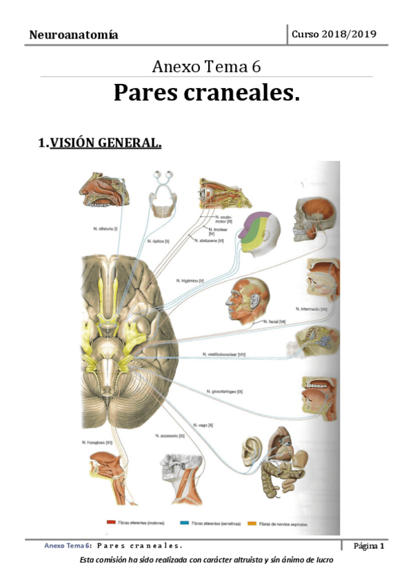 Miniatura del documento Tema-6-Anexo.pdf