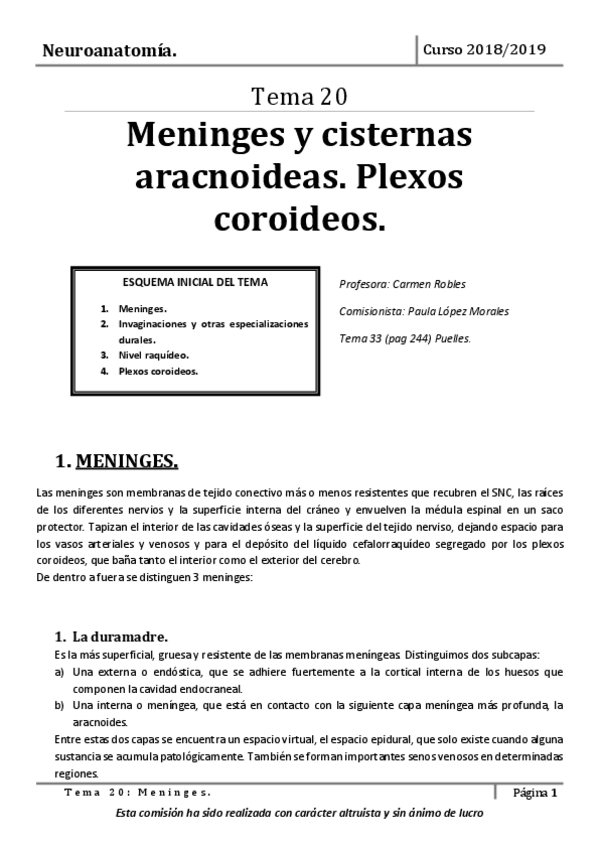 Miniatura del documento Tema-20.pdf