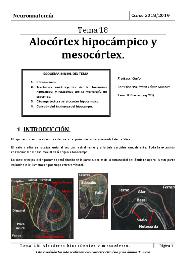 Miniatura del documento Tema-18.pdf