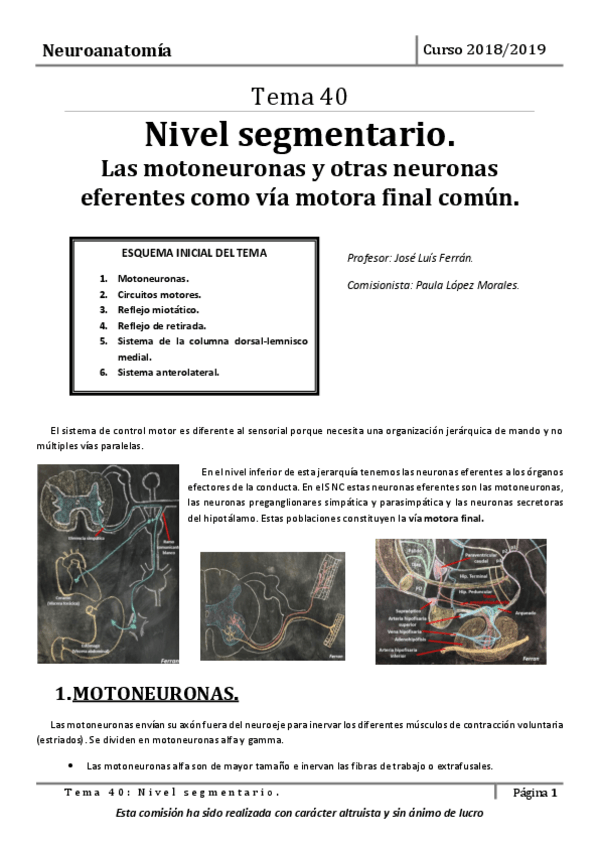 Miniatura del documento Tema-40.pdf
