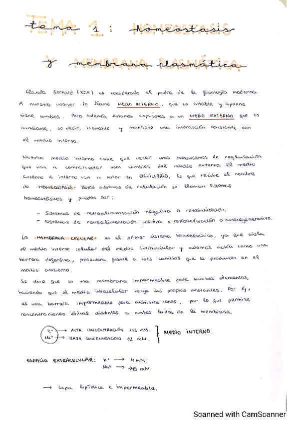 Miniatura del documento SISTEMA-NERVIOSO-1-14.pdf