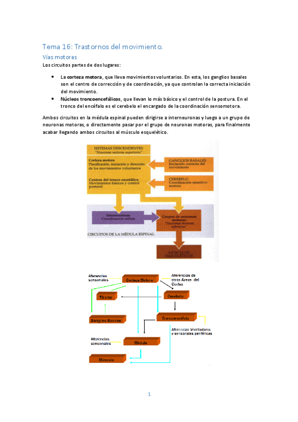 Miniatura del documento Tema-16-Trastornos-movimiento.pdf