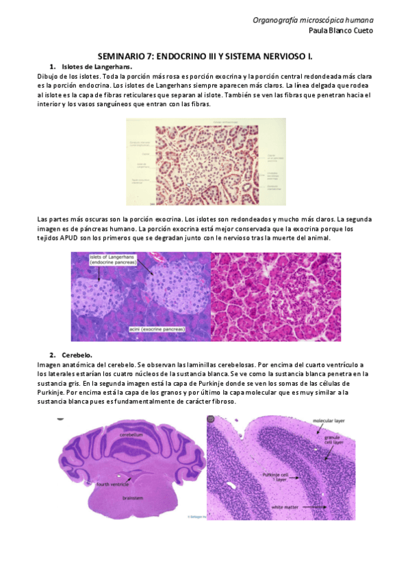 Miniatura del documento SEMINARIO-7.pdf