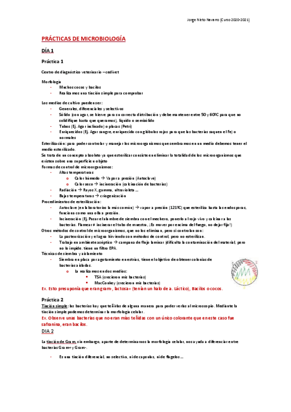 Miniatura del documento Practicas-microbiologia.pdf