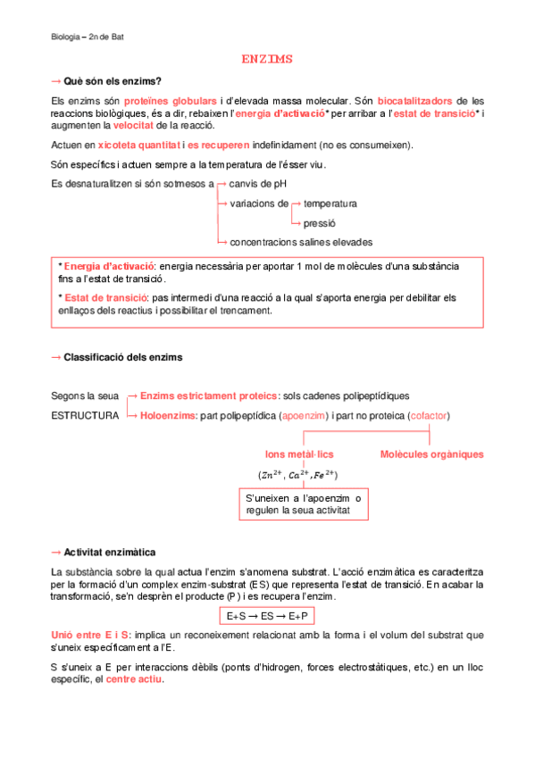 Miniatura del documento Enzims.pdf