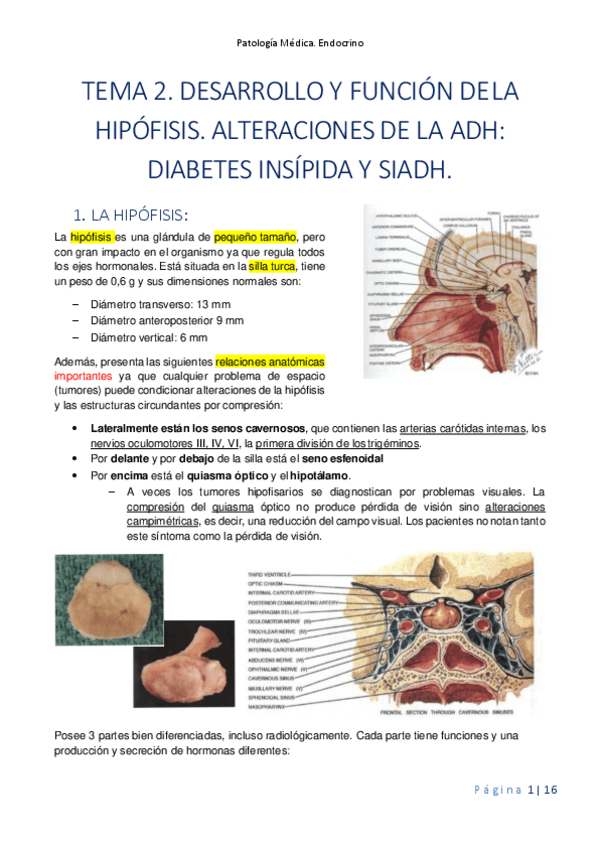 Miniatura del documento Tema-2.pdf