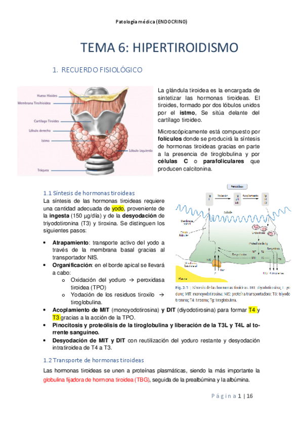 Miniatura del documento Tema-6.pdf