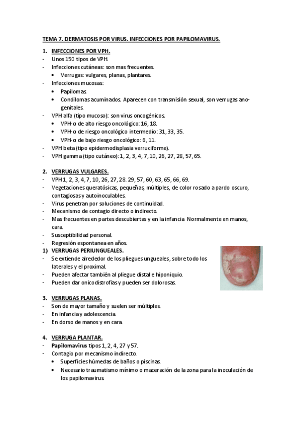 Miniatura del documento TEMA-7.pdf