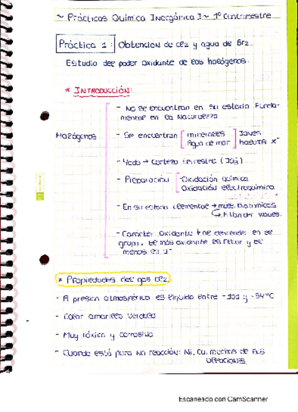 Miniatura del documento Cuaderno-practicas-1cuatrinestre-inorgan.pdf