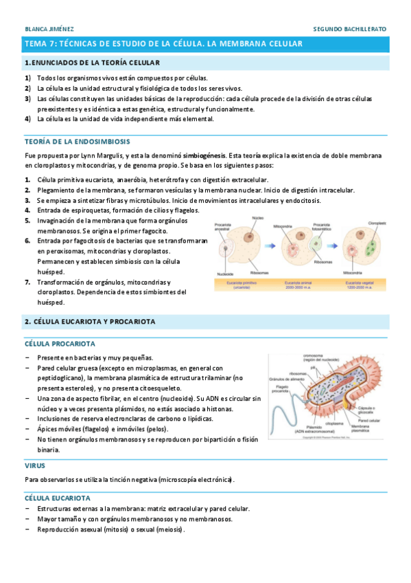 Miniatura del documento TEMA-7-METODOS-DE-INVESTIGACION-Y-LA-MEMBRANA-CELULAR.pdf