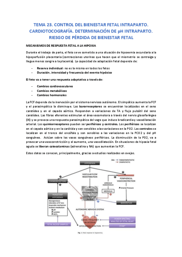 Miniatura del documento TEMA-23.pdf