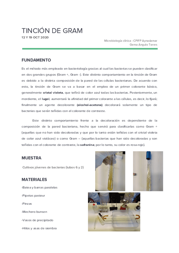 Miniatura del documento 3 tinción de gram