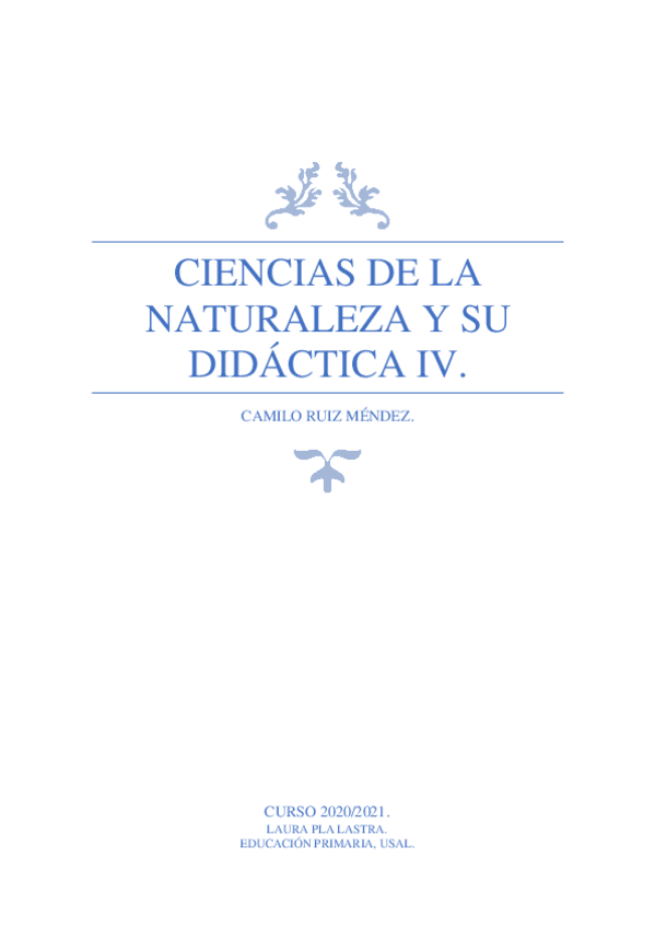 Miniatura del documento TEMARIO.pdf