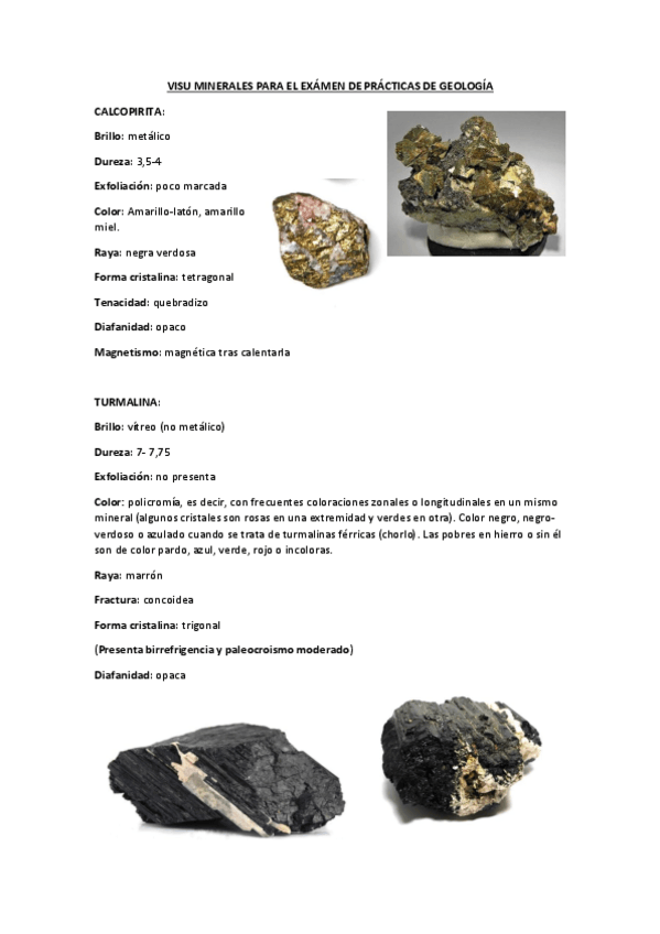 Miniatura del documento VISU-MINERALES-PARA-EL-EXAMEN-DE-PRACTICAS-DE-GEOLOGIA.pdf