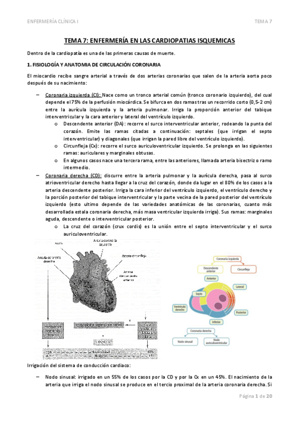 Miniatura del documento TEMA-7-ENFERMERIA-EN-LAS-CARDIOPATIAS-ISQUEMICAS.pdf