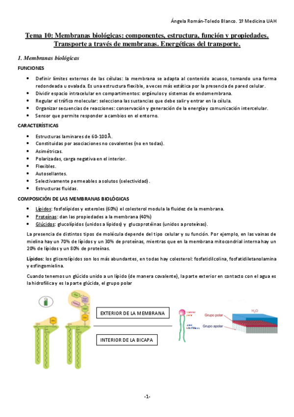 Miniatura del documento TEMA-10-BIOQUIMICA.pdf