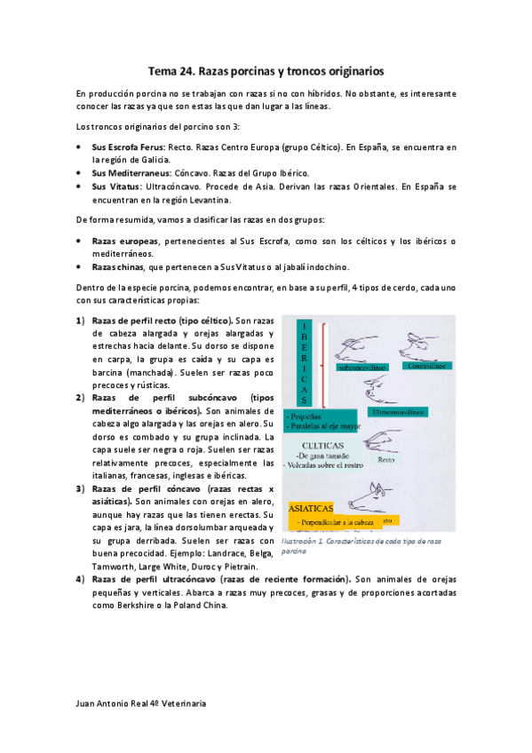 Miniatura del documento Tema-24.pdf
