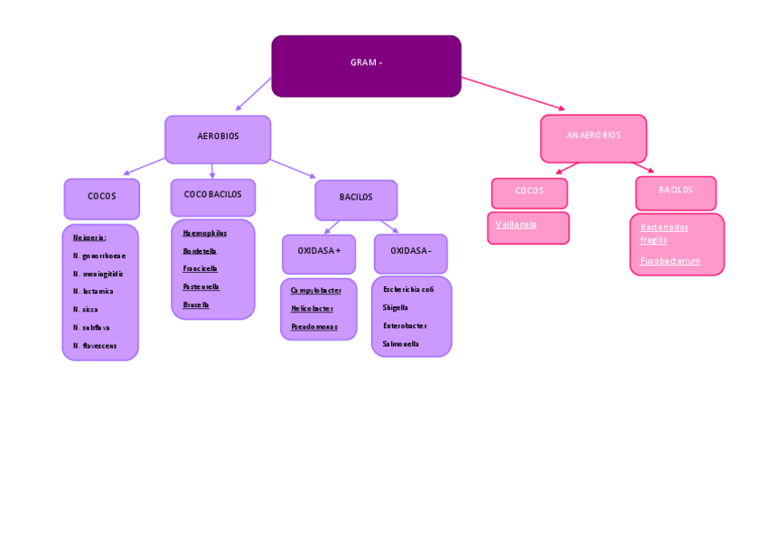 Miniatura del documento GRAM-.pdf