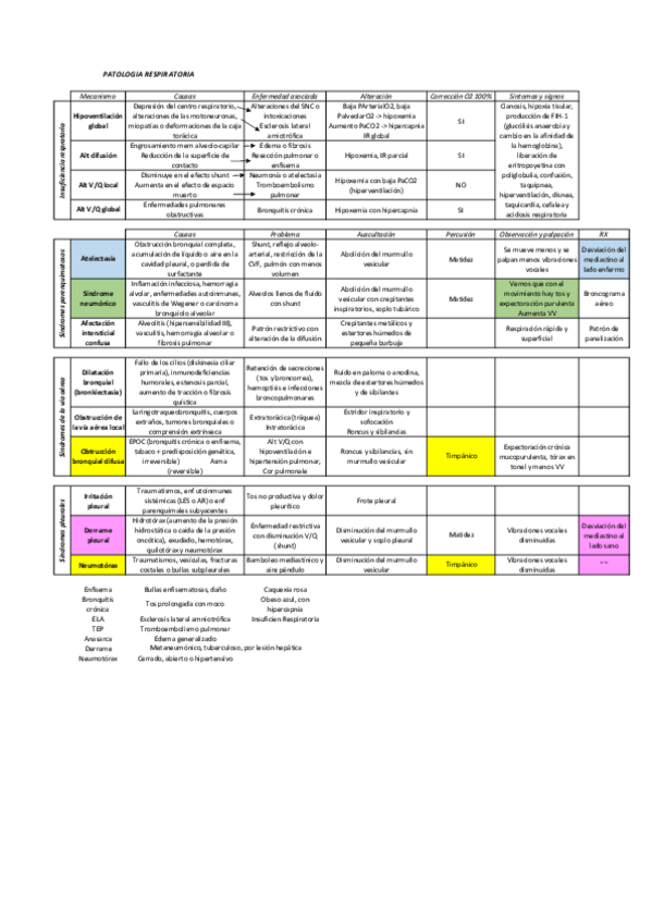 Miniatura del documento Respiratoria.pdf