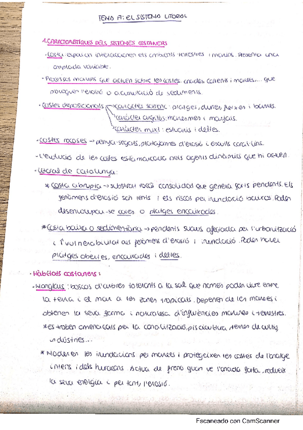 Miniatura del documento Resum-el-sistema-litoral.pdf
