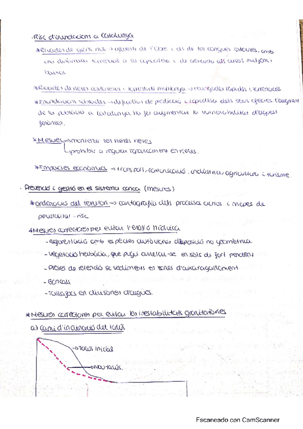 Miniatura del documento Resum-inundacions.pdf