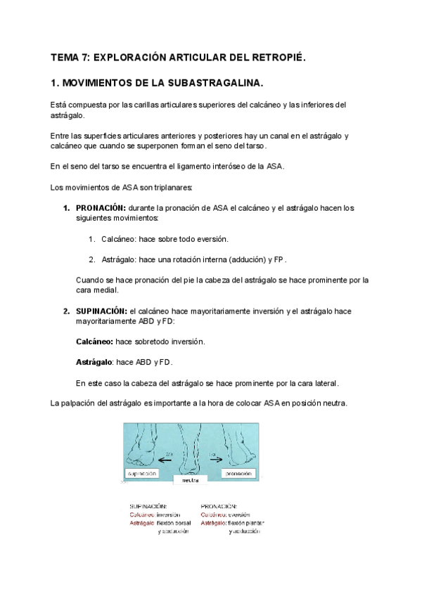 Miniatura del documento TEMA-7-EXPLORACION-ARTICULAR-DEL-RETROPIE-1.pdf