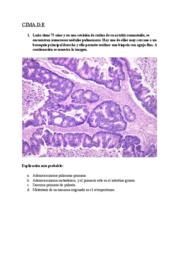 Miniatura del documento CIMAs-D-E-La-amenaza-de-las-neoplasias.pdf