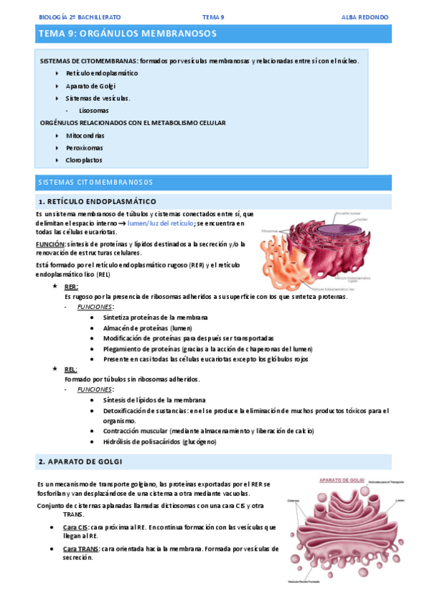 Miniatura del documento TEMA-9.pdf